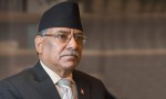यदि प्रधानमन्त्री प्रचण्डलाई पक्राउ गर्ने आदेश भयो रे, त्यसपछि के होला ?
