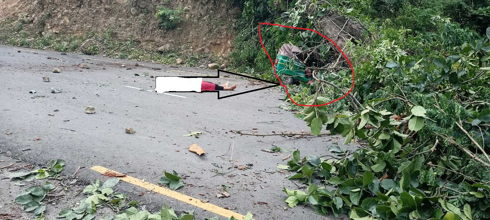 मदन भण्डारी लाेकमार्ग अन्तर्गत  उदयुरको अधेँरी झर्ना खण्डमा रुख ढलेर किच्दा एकको मृत्यु