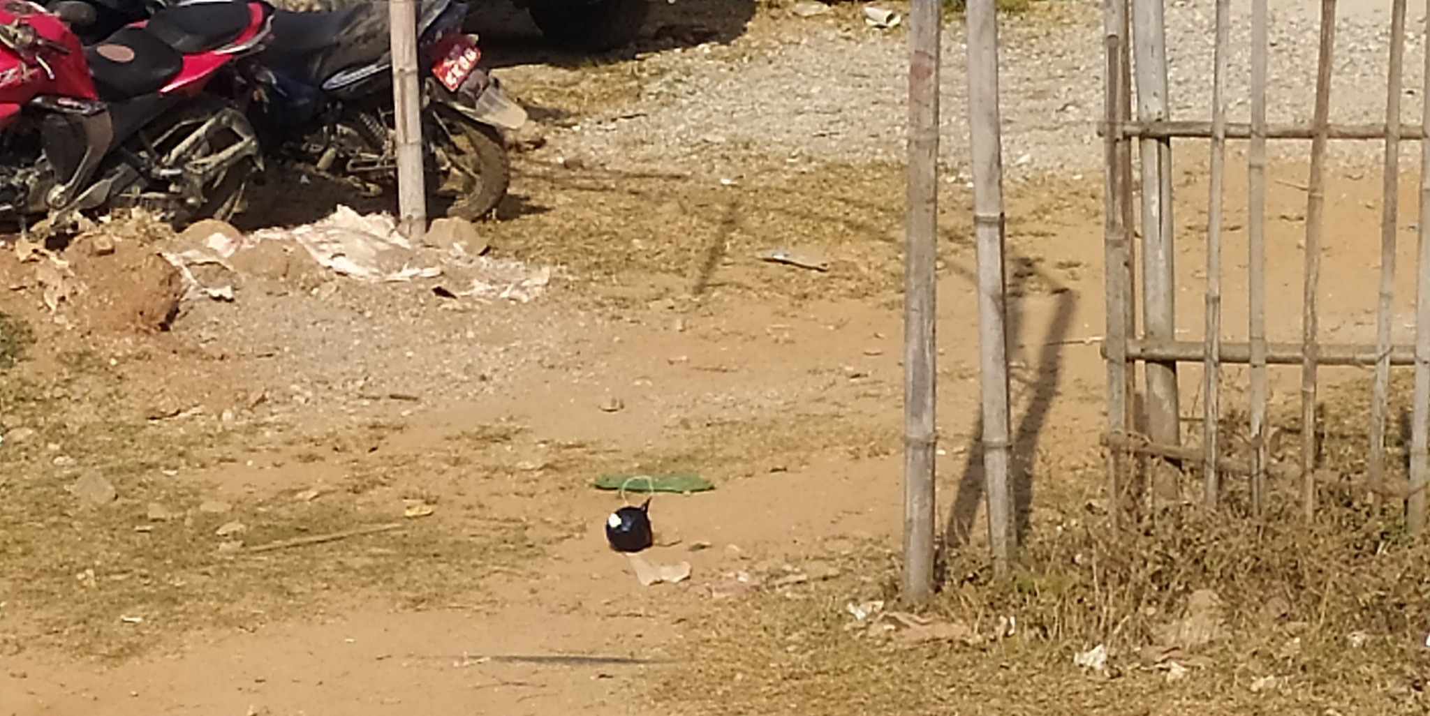 ताप्ली गाउँपालिकाकाे गेटमा अज्ञात समूहले राखेको बम सेनाद्धारा डिस्पोज