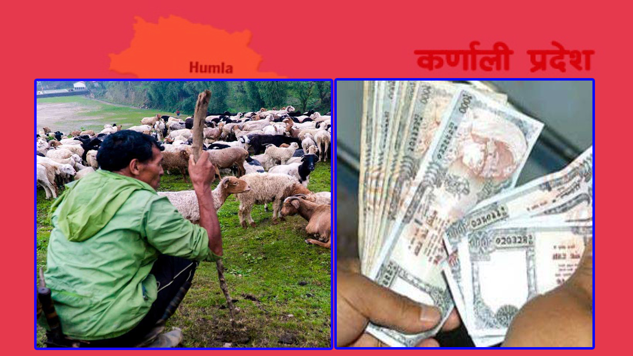कर्णाली प्रदेशमा ‘गोठालो भत्ता’ कार्यक्रमअन्तर्गत किसानले मासिक एक हजार पाउने