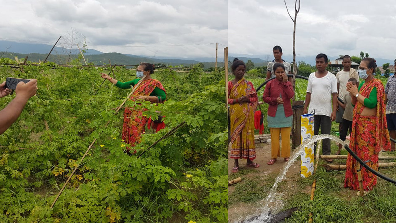 कटारीमा करारको जग्गाले गरिब तथा विपन्न दलित परिवारको गुजार चल्दै