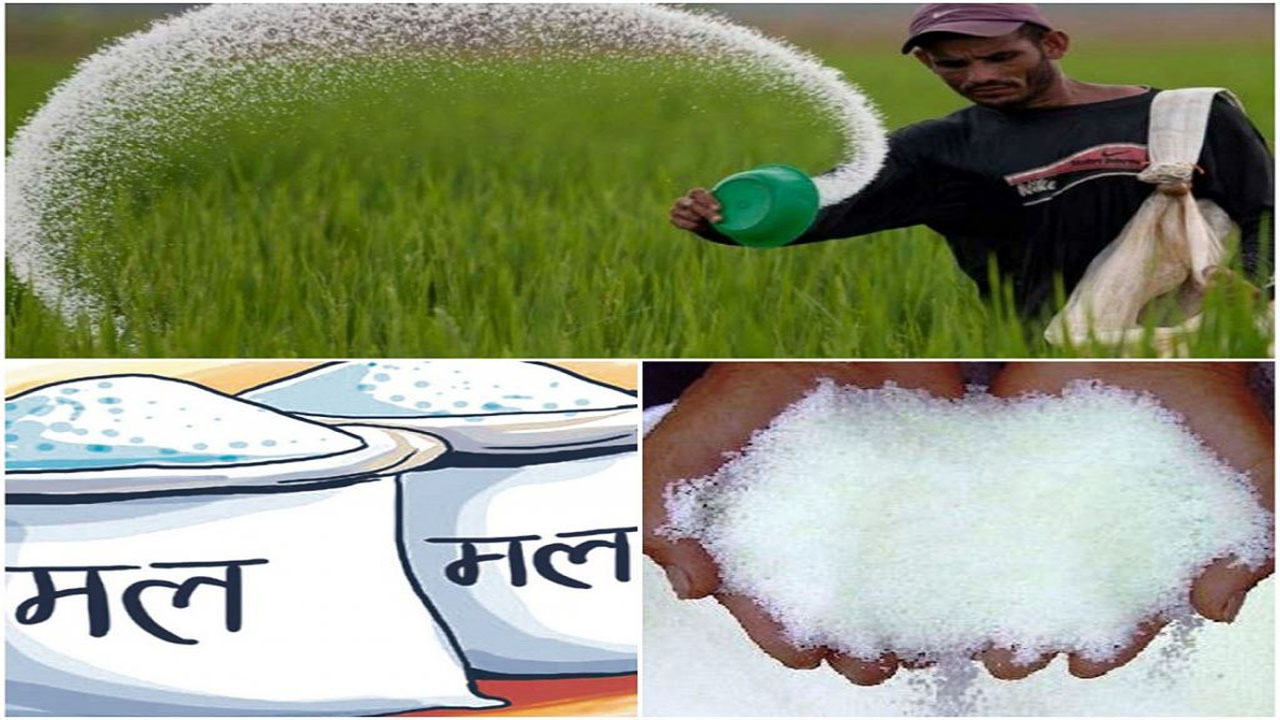  बङ्गलादेशबाट खरीद गरिएको ४५ हजार मेट्रिक टन युरिया मल नेपाल आइपुग्यो 