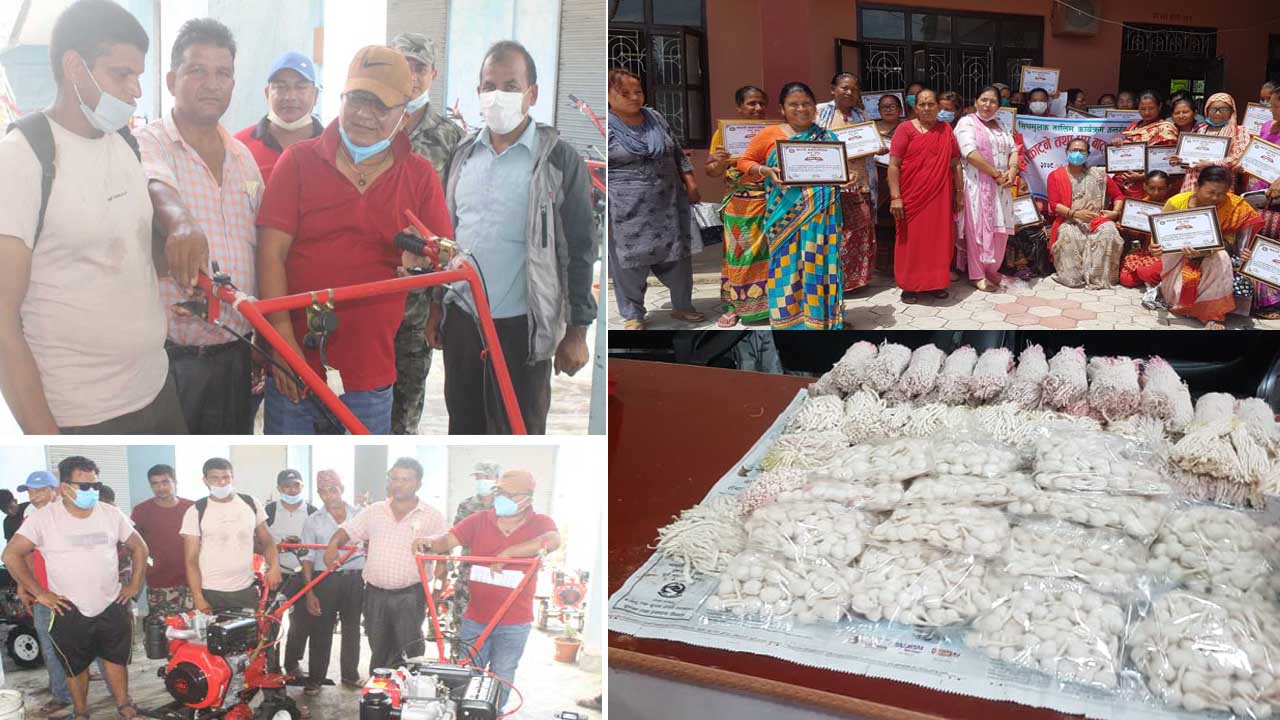 कटारीमा एकल महिलाहरुकाे लागि आयआर्जन मुलक तालिम सम्पन्न