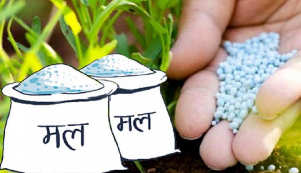 रासायनिक मलको माग बढ्दो, आपूर्ति घट्दो