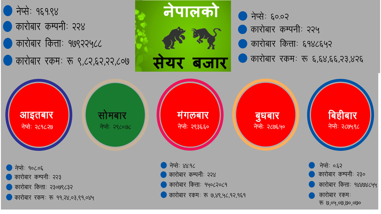 गएकाे साताको शेयर बजारमा असाध्यै बढी उतारचढाव