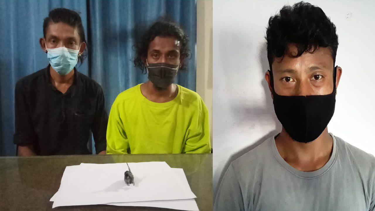 झापामा ब्राउन सुगरसहित तीनजना पक्राउ