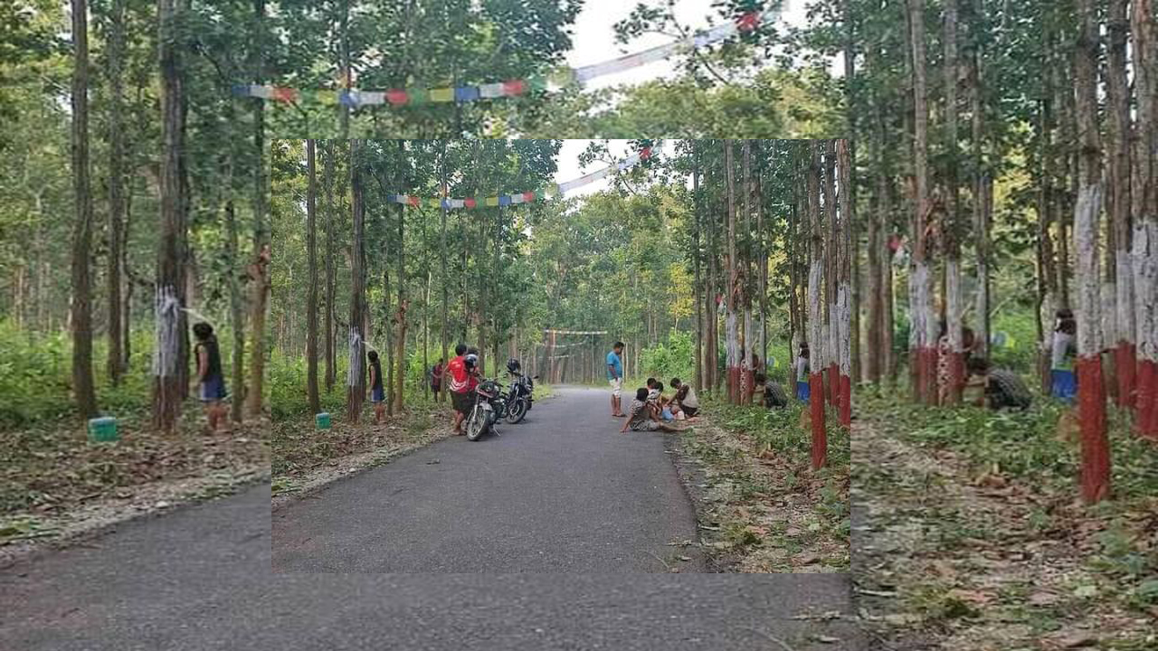 कटारीकाे च्याँगा जाने सडक रंगरोगनले चिटिक्क