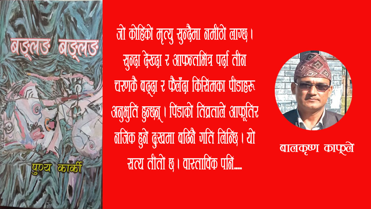 एक निबन्धमाथिको दृष्टान्त: दोस्रो अनुच्छेद.......