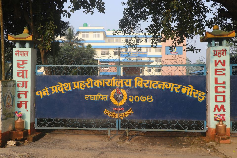 ओखलढुंगा र उदयपुरमा घास रुखबाट लडेर २ जनाको मृत्यु
