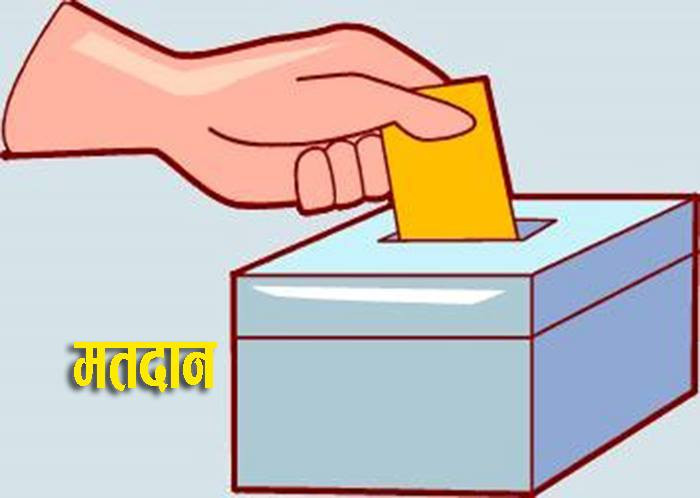 मापसेका गर्ने मतदान अधिकृत हटाइए