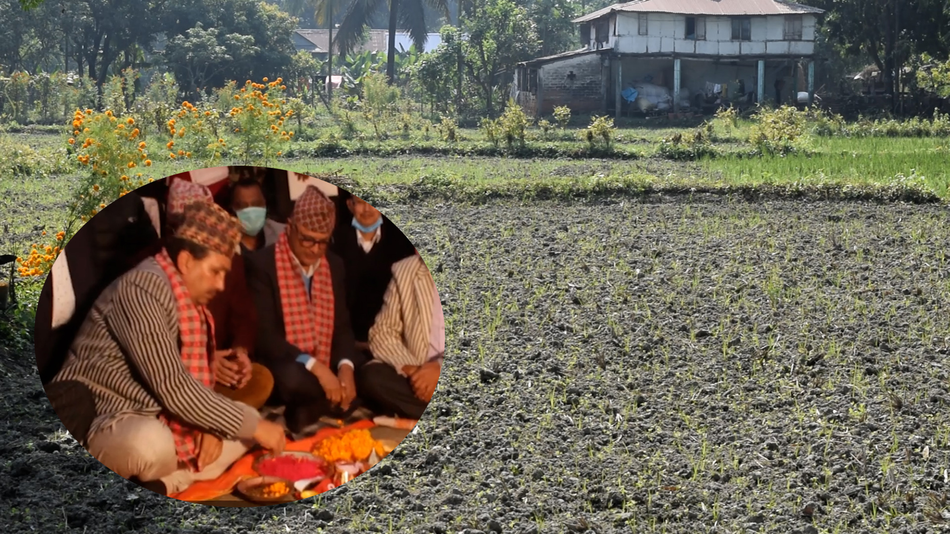 अस्पतालको शिलान्यास गरेको ठाउँमा 'तोरी खेती'