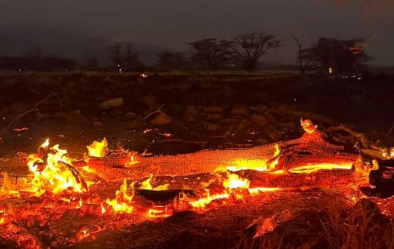 हवाई डढेलोः एक हजार एक सय जना बेपत्ता